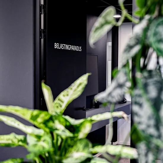 Belastingparadijs 18637