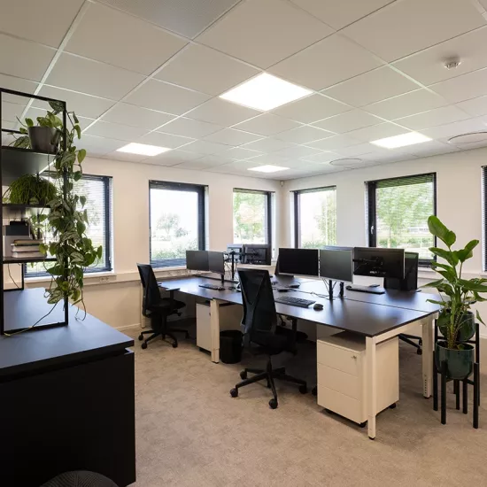 Fiscale advisering 19165